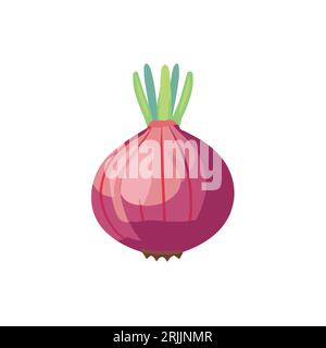 Vector illustration of onion on a white background Stock Vector
