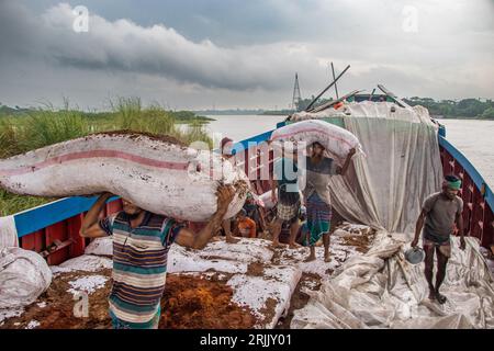 Wood husks are unloaded from the boat. This photo was taken on September 14, 2022, from Ruhitpur, Bangladesh Stock Photo