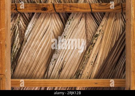 Roofing made of dry palm leaves on wooden frame, background photo texture Stock Photo