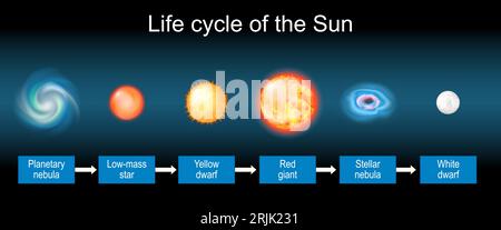 Solar life cycle. Stellar evolution from Planetary nebula and Low-mass star to Yellow dwarf, Red giant, Stellar nebula, and White dwarf. Vector illust Stock Vector
