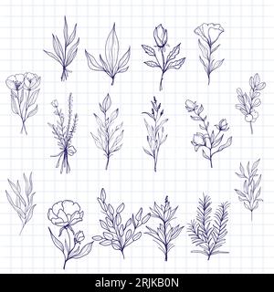 Black silhouettes of grass, flowers and herbs isolated. Hand drawn sketch flowers and insects. Stock Vector