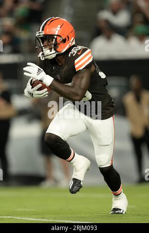 Hassan Hall shines in NFL debut with the Browns in 2023 Hall of