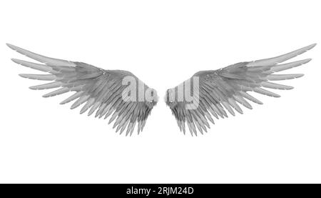 Pair of isolated angel wings with 3D feathers on white background, 3D ...