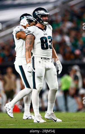 WATCH: Brady Russell catches touchdown pass in Eagles preseason game