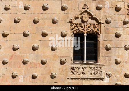 Casa de las Conchas in Salamanca, Spain, facade decorated with shell carvings, gothic style, window with coat of arms. Stock Photo