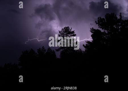 A dramatic scene of a thunderstorm illuminated by a streak of lightning over a field of trees Stock Photo