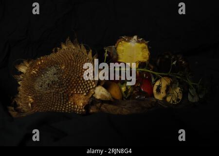 A still life of various vegetables, including pineapple, apple, and others, in a state of decay and deterioration, isolated on a black background Stock Photo