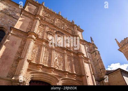 University of Salamanca, front stone Plateresque facade of Escuelas Mayores building with decorative reliefs and figures, main entry gate. Stock Photo