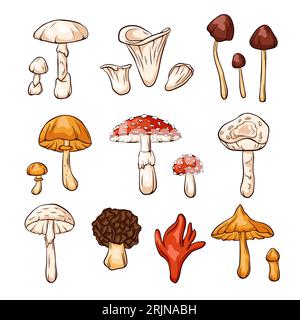 Hand drawn colorful inedible mushrooms collection in cartoon style. Fly Agaric, Autumn Skullcap, Deadly Webcap, False Morel, Poison fire coral. Vector Stock Vector