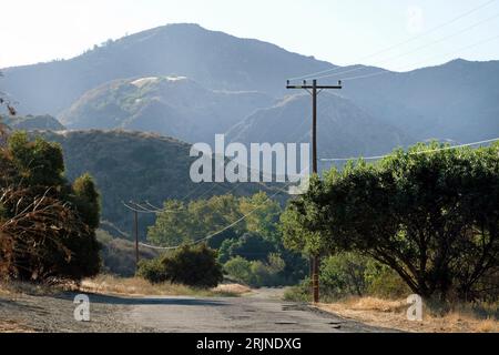 Empty road leading through Ed Davis Park in Towsley Canyon, California, during sunset Stock Photo