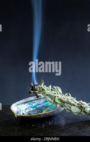 A vertical closeup of burning sage incense on abalone shell Stock Photo