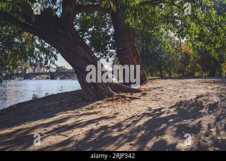 Autumn, Strelecky Island, Prague, Czech Republic Stock Photo