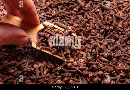 A close-up image of a person's hand holding a wooden spoon filled with dried cloves Stock Photo
