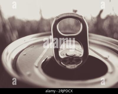 Open tin in grass, relax old, black and white Stock Photo
