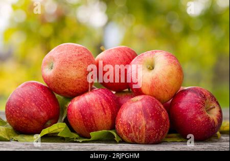 Close-up of few organic red apples on a wooden table. Tree leaves between fruits. Stock Photo