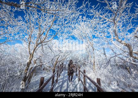 Deogyusan mountains is covered by snow in winter,South Korea.Sunset landscape. Stock Photo