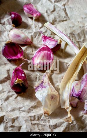 cloves of garlic on paper background Stock Photo