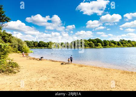 People relaxing at the Frensham Little Pond on a sunny day, Surrey, England Stock Photo