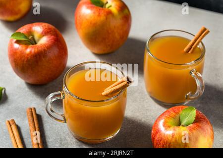 Warm Homemade Apple Cider with a Cinnamon Stick Stock Photo