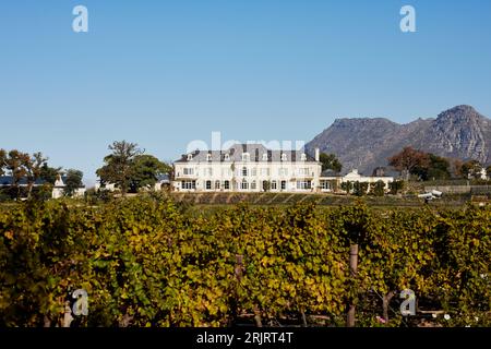 Buitenverwachting Wine Estate in Constantia Cape Town South Africa Stock Photo