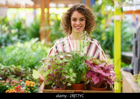 Woman with curly hair holding potted plants in tray at nursery Stock Photo