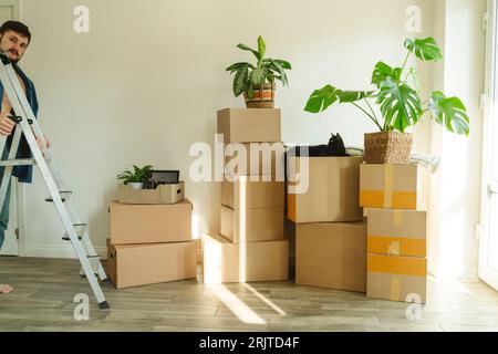 Young man with ladder standing by cardboard boxes in new home Stock Photo