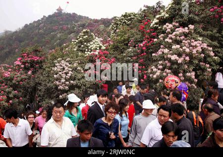 Bildnummer: 51807917  Datum: 01.04.2007  Copyright: imago/Xinhua Chinesen erfreuen sich im Frühling am blühenden Rhododendron beim Azalea Festival in Dafang in der Provinz Guizhou - PUBLICATIONxNOTxINxCHN, Landschaft , Personen; 2007, Dafang, Land, Leute, Einheimische, Einheimischer, Chinese, Chinesen, Blüte, blühend, Strauch, Sträucher; , quer, Kbdig, Frühjahr, Jahreszeit, Totale, China,  , o0 Azalee, Azaleen Stock Photo