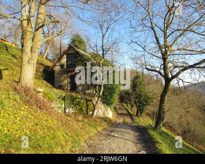 Dirt road leading past an old rustic abandoned shabby house with meadow covering the slope on the other side and is covered in vines in Slovenia Stock Photo