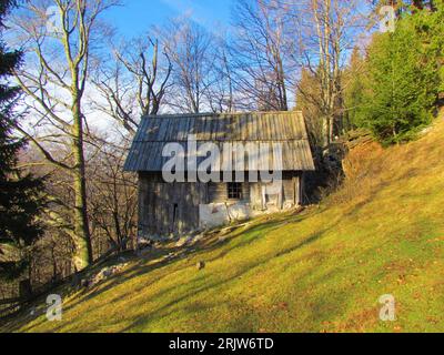 Wooden rustic shabby hut at the edge of a beech forest in winter and a bright sunlit meadow in front in Karavanke mountains in Slovenia Stock Photo