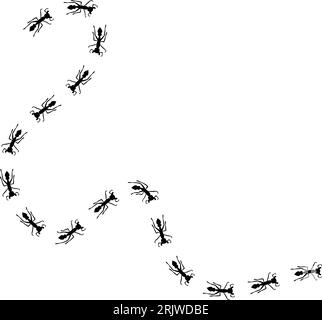 Ant trail illustration. Insect path to the home. Stock vector illustration isolated on white background in flat simple style. Stock Vector