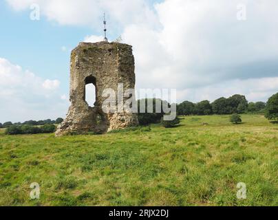 Knepp Castle or Old Knepp Castle on the Knepp rewilding estate, West Sussex. Stock Photo