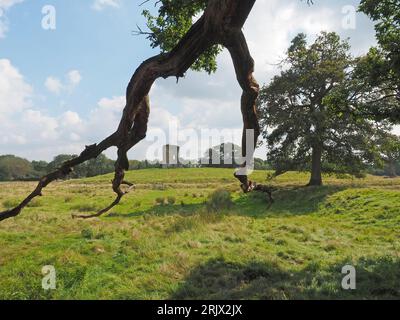 Knepp Castle or Old Knepp Castle on the Knepp rewilding estate, West Sussex. Stock Photo