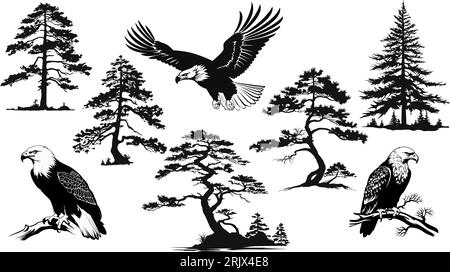 Set of forest trees, eagle silhouettes. Stock Vector