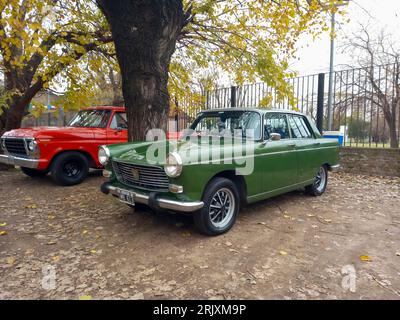 An old, green popular Peugeot 404 sedan 1960 - 1975 under the trees. Classic car show. Stock Photo