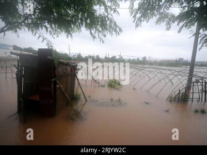 Bildnummer: 52574193  Datum: 10.06.2008  Copyright: imago/Xinhua Hochwasser überschwemmt eine Gewächshaus  nach heftigen Regenfällen im Landkreis Xiuning, Provinz Anhui - China PUBLICATIONxNOTxINxCHN , Landschaft; 2008, Xiuning ,  China,  Überschwemmung, Schaden , Zerstörung; , quer, Kbdig, Totale,  , Wetter, Asien    Bildnummer 52574193 Date 10 06 2008 Copyright Imago XINHUA Floods flooded a Greenhouse after violent Rains in County Xiuning Province Anhui China PUBLICATIONxNOTxINxCHN Landscape 2008 Xiuning China Flooding Damage Destruction horizontal Kbdig long shot Weather Asia Stock Photo