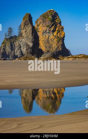 Point of Arches sea stacks reflected in tide pools on Shi Shi Beach,  Olympic National Park, Washington State, USA Stock Photo