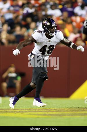 A Baltimore Ravens helmet is seen before a preseason NFL football game  between the Washington Commanders and the Ravens, Saturday, Aug. 27, 2022,  in Baltimore. (AP Photo/Nick Wass Stock Photo - Alamy