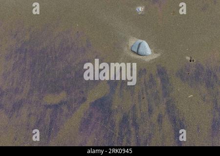 Purple sand accumulated by wave action on Shi Shi Beach in Olympic National Park, Washington State, USA Stock Photo