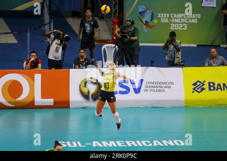 Campeonato Sul-Americano de Voleibol Feminino 2023 