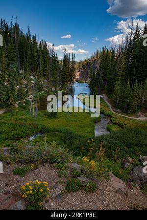 A fisherman casts into a pool on South French Creek below Lake Marie, Medicine Bow National Forest, Snowy Mountains, Albany County, Wyoming Stock Photo