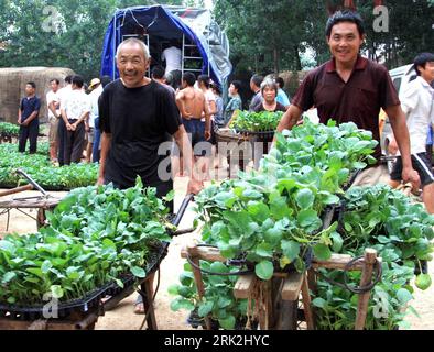 Bildnummer: 53205067  Datum: 17.07.2009  Copyright: imago/Xinhua (090717) -- YINAN, July 17, 2009 (Xinhua) -- Local farmers receive full loads of refined seedlings of aubergines reserved in advance at favorable price on pushcarts in Yinan County, east China s Shandong Province, (2)CHINA-SHANDONG-QUALITY VEGETABLE-FARMING-SUBSIDY(CN)  PUBLICATIONxNOTxINxCHN  Landwirtschaft Auberginen Aubergine Setzlinge kbdig xsk  2009 quer o0 Asien, Pflanzen    Bildnummer 53205067 Date 17 07 2009 Copyright Imago XINHUA  Yinan July 17 2009 XINHUA Local Farmers receive Full loads of refined Seedlings of aubergin Stock Photo