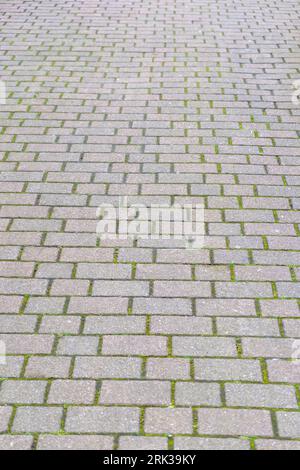 Empty stone paved floor with green grass background texture. Cobblestone grey footpath  for backdrop, view from above Stock Photo