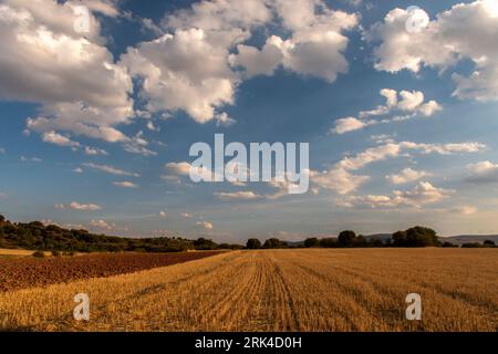 This breathtaking panoramic photograph captures the beauty of a summer sunset over the golden harvested cereal fields of Soria, Spain. Stock Photo