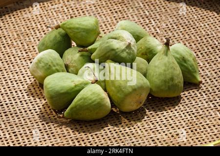 Several climbing figs drying on reed plate in the sun. Stock Photo