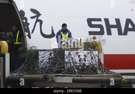 Bildnummer: 53704303  Datum: 05.01.2010  Copyright: imago/Xinhua (100105) -- SHANGHAI, Jan. 5, 2010 (Xinhua) -- The cage containing a giant panda for the 2010 Shanghai World Expo is pushed out of a chartered flight at Shanghai Hongqiao Airport, east China, Jan. 5, 2010. Ten pandas, selected by the Chinese giant panda protection and research center, will be shown to the public during the one-year-long Shanghai World Expo display.(Xinhua/Pei Xin) (yc) (1)CHINA-SHANGHAI-WORLD EXPO-PANADAS-ARRIVAL (CN) PUBLICATIONxNOTxINxCHN Tiere Panda Pandabären Riesenpanda Riesenpandas Transport kbdig xsk 2010 Stock Photo