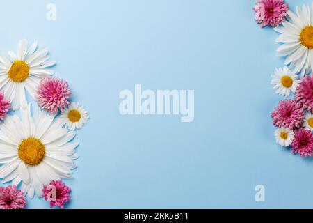 Assorted garden blossom flower heads on blue background with space for text. Flat lay Stock Photo