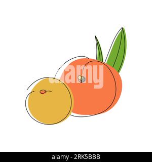 Two peaches hand drawn. Abstract shape fruit inspiration. Vector illustration, flat design Stock Vector