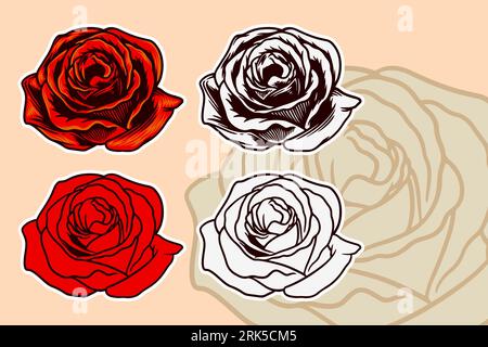 Rose flower vector illustration set Stock Vector