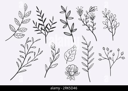 flower leaves doodle hand drawn vector illustration set Stock Vector