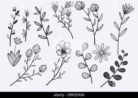 flower leaves doodle hand drawn vector illustration set Stock Vector
